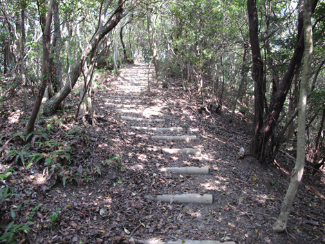 20140426hike (187)